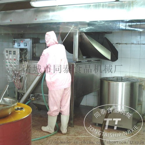 小型电加热油炸机 自动控温油水分离油炸锅 ,诸城市同泰食品机械厂