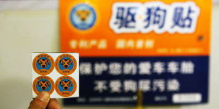 2009年北京举办国际改装车展